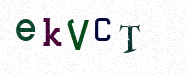 Visual Confirmation Security Code