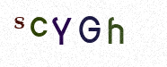 Visual Confirmation Security Code