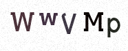 Visual Confirmation Security Code