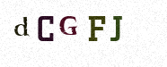 Visual Confirmation Security Code