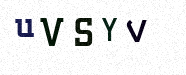 Visual Confirmation Security Code